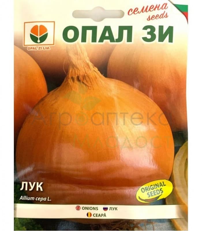Лук