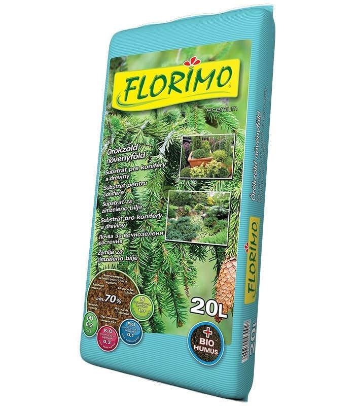 Почва за иглолистни и вечнозелени